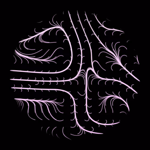 Item #44081091071029519646655864610904877789481755389239864061758742201182751555585 Media