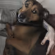 47544226775193296561363797833864959531468120539388845267868880639735525015562