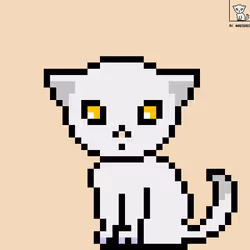 105246534807592399097770137437662661118868908125283424673453536241622676668417