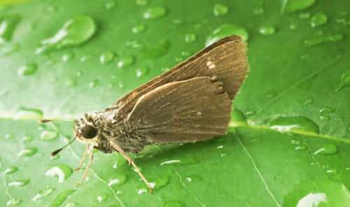 Item #15865915899171171774737831859124075338871041403581464105966369590057419931649 Media