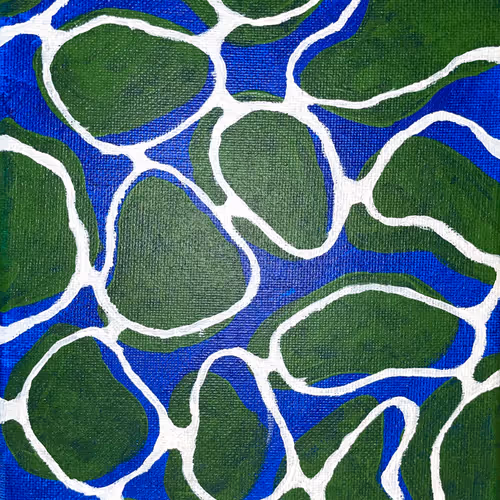 62096249985699407366959964925977790925646553837524399584400573805983755665409