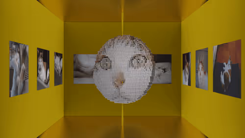 Item #5167183705605993803150233202782203702262372345279012783624011104824454021121 Media