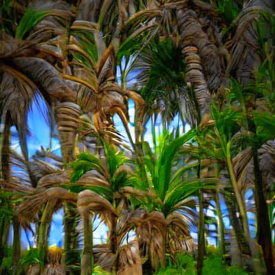 Item #13013478093265712782312338731148376677417175773073080163367791008578902425810 Media