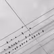 64425700255922365010034317114976775972986592258044091962610357526649605455873