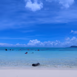 beach