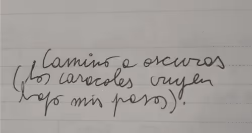 Item #63465233050265892081607428554456565168245465593725857968932052364978026446849 Media
