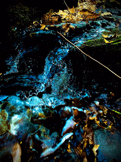 Item #582723344791578874392979375224931479207908297100719477511291137308806349800 Media