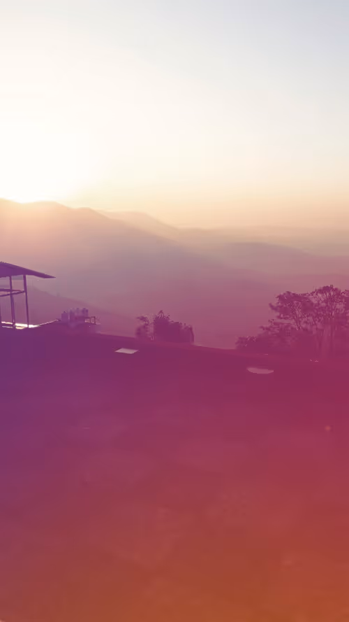 Item #28492546344238997982627040595659913257173957231691920694804582439802921549825 Media