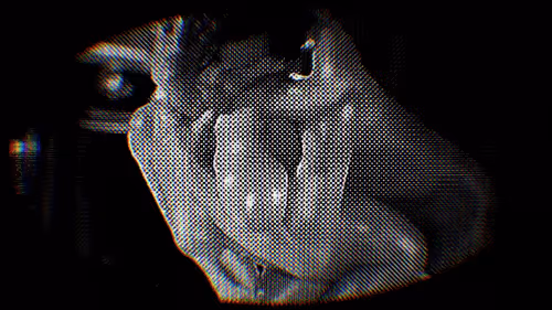 Item #93657854217135455601810941642078618975086550822534702161347396386973462560769 Media