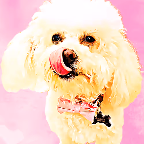 Coco Bear #1