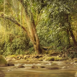 Calmdown River