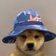 63923600519931118237435410532122469759880506138640015303386173931951308668929