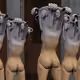 60755334794249827389680541390537607517317563242671577319353906794432152207363