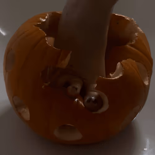 Item #69874741243942977200460455707351240542545438103508382894451755098003984089089 Media