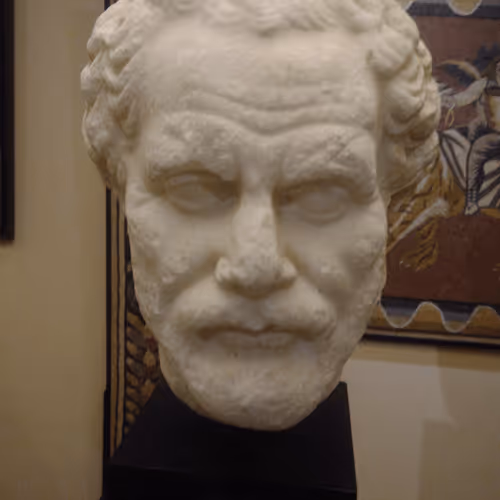 Untitled Collection #58361706