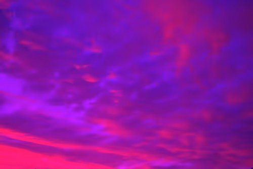 Item #102771070306004819985898819999052787652815039064996374663455445986208945012737 Media