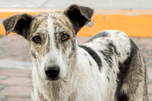 51612466920576514167808642933924720719351151138092234111311196066283897487361