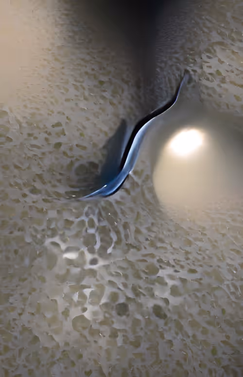 Item #27083344624554825202181109560224417491938066948953543196954621364904285700097 Media