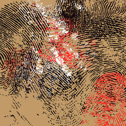 16099289534565677817009981985909100596642615095570704535402562752263938375681