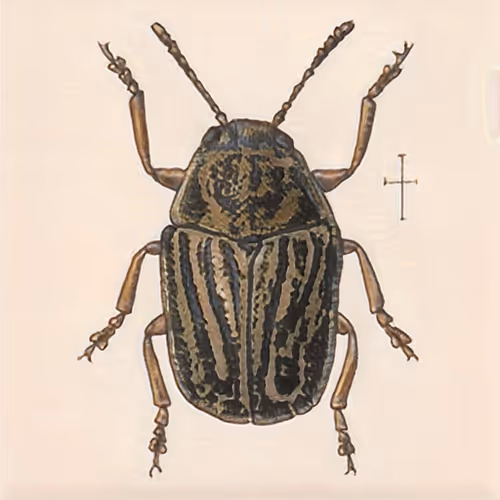 Item #58241160855422744817468407088196322100109565521561100950236904262758064717825 Media