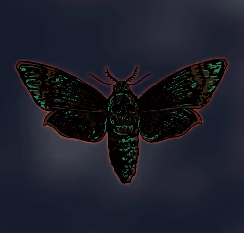 Item #63162259151373170771692103914713043241385004990299574702418363907024489545729 Media