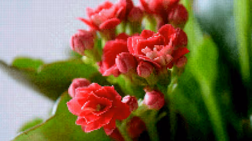 Item #75866091947728652238534111254584504918190435733442380629681527354848977092609 Media