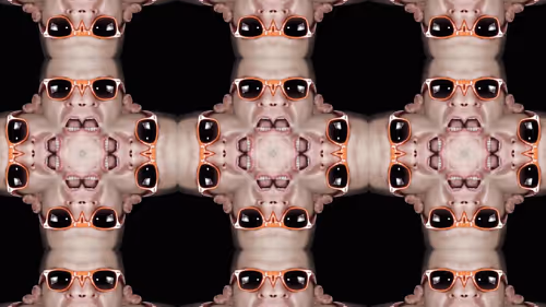 Item #24903874531350115991913359074638014120394763804843076394666795088585498296321 Media