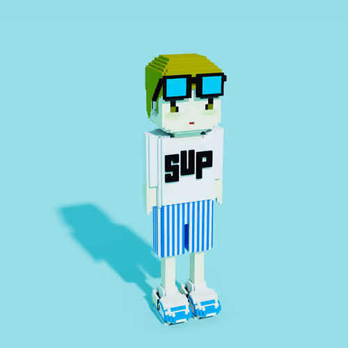 Funky Voxel DAZAWA #022