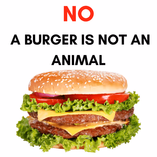 Item #54173359680529468672134531357852569174324667090824863999403187596761533251634 Media