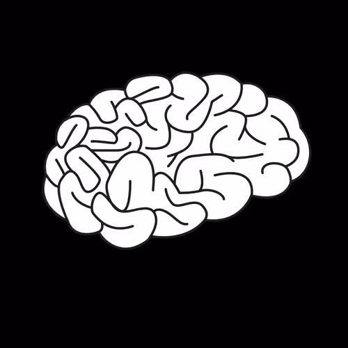 20305648368977834676403688153416371754085382451304772392533927221590935732274