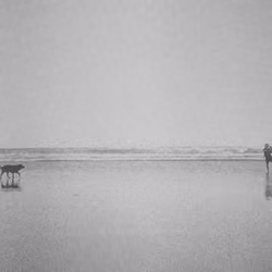 The Man and the Dog