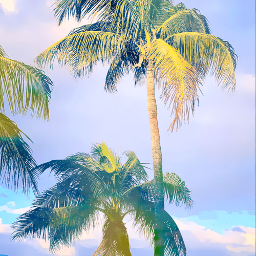 Palms Of Miami - Sunset Coral Palette