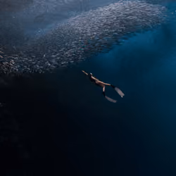 Dive and Glide