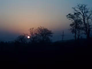 Untitled Collection #270686697