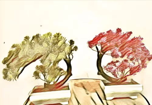 Item #29510731910910609866946623002702956419421614825625903317173568018674750586881 Media