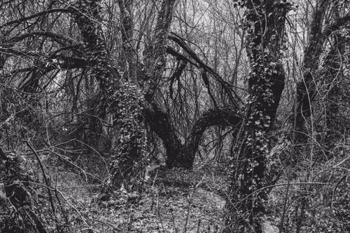 Item #2495895736977934974538012810056584036049628641576847568535508429721445597284 Media