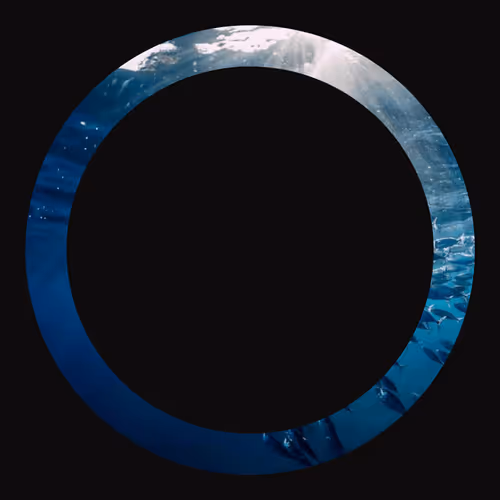 Item #29896125667398295280649501048946195559498857907782391680146218389306706241296 Media