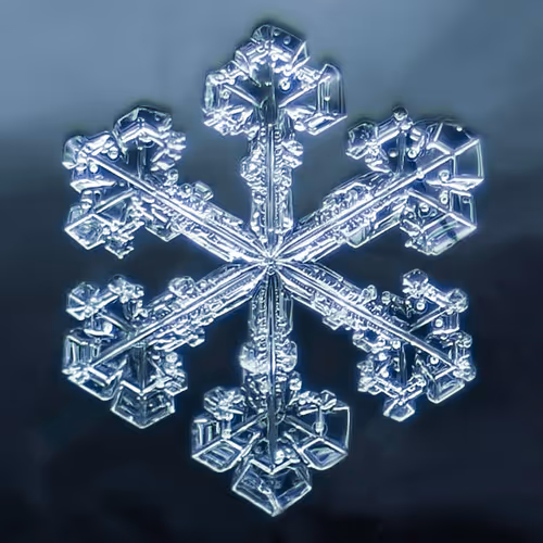 Item #39629935389522237345664437028542438492977381533873015043488418147586373844999 Media