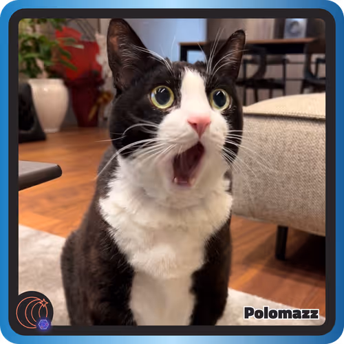 Item #8101813480495086202 Media