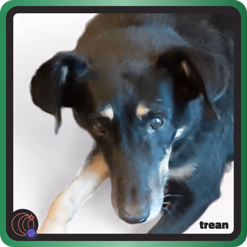 Item #500135453038 Media