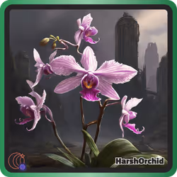 HarshOrchid