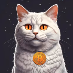 BTC Cats X 1648