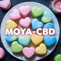 MOYA-CBD logo27