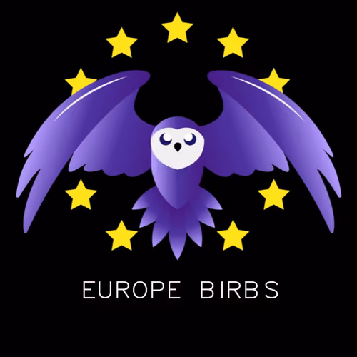 Europe birbs meetup Munich