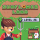 262293