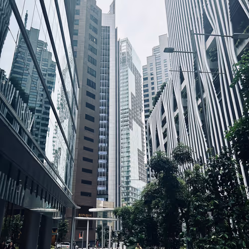 mengyao.lens-Collect-10