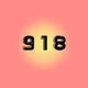 919