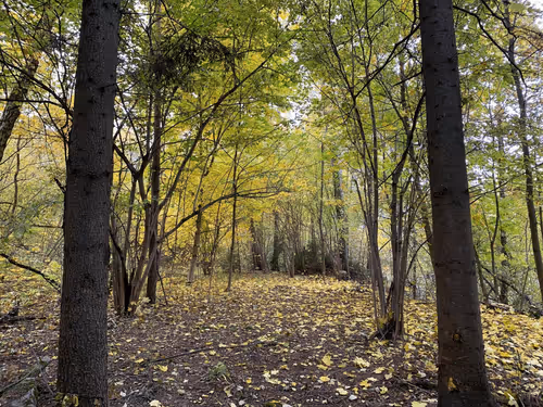 Collection by ANonForceUser