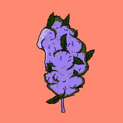 2412