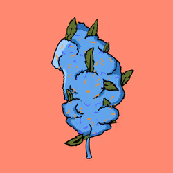 559
